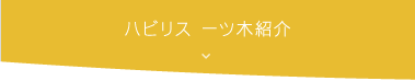 ハビリス 一ツ木紹介