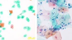 臨床検査・病理技術科18