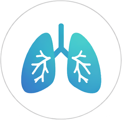 lungs