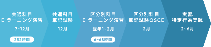 看護部_研修スケジュール